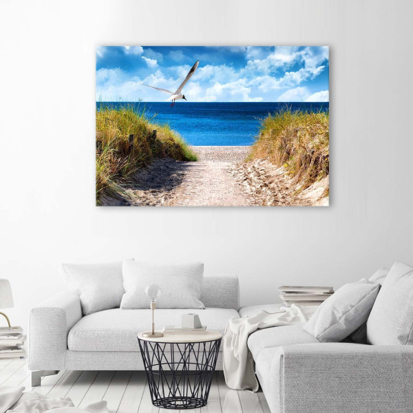 Feeby Obraz na płótnie, Ścieżka na plażę i mewa 60x40