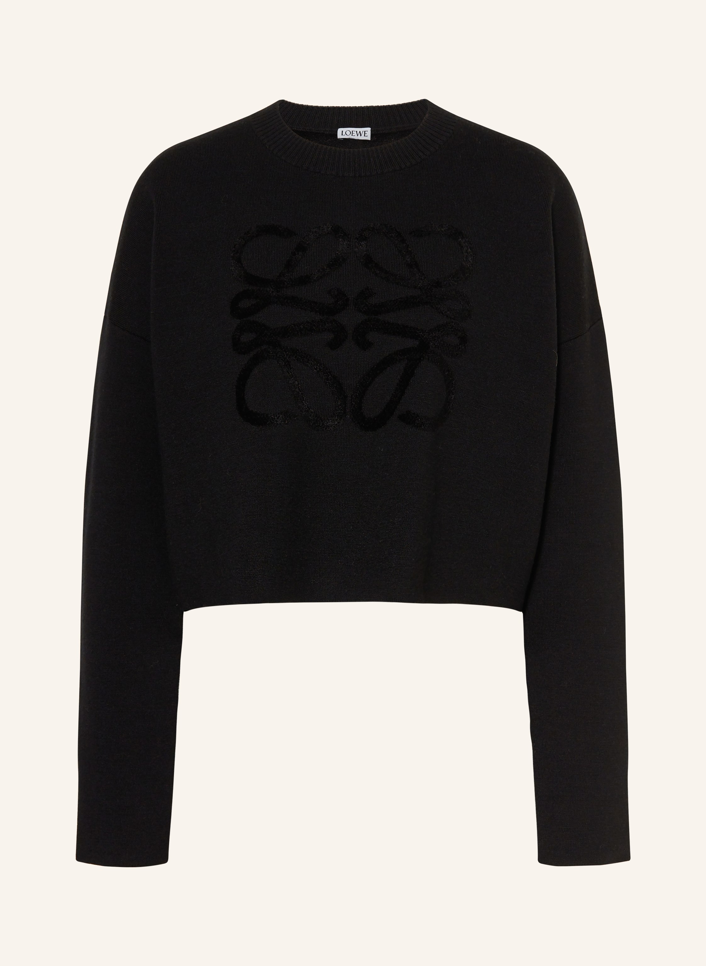 LOEWE Pullover
