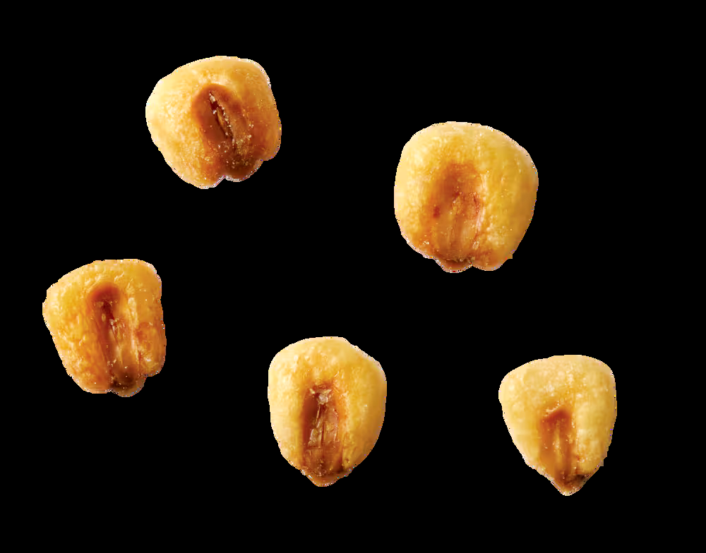 FRANK Salted Toasted Corn, 150-g