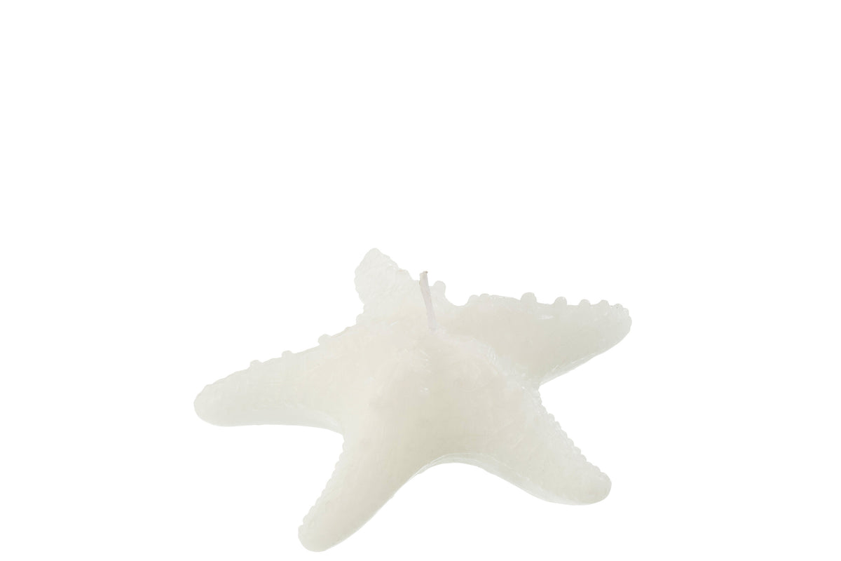 J-Line kaars Zeester - wit -small - 2U