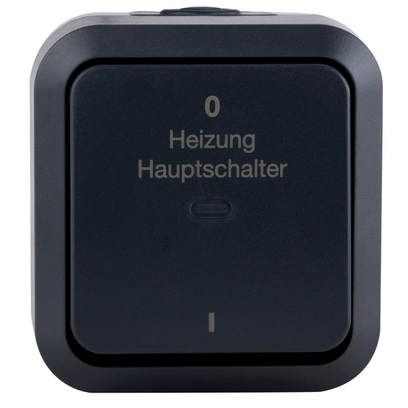 Heizungsschalter, AquaStorm AP Heizungsschalter grau/anthrazit