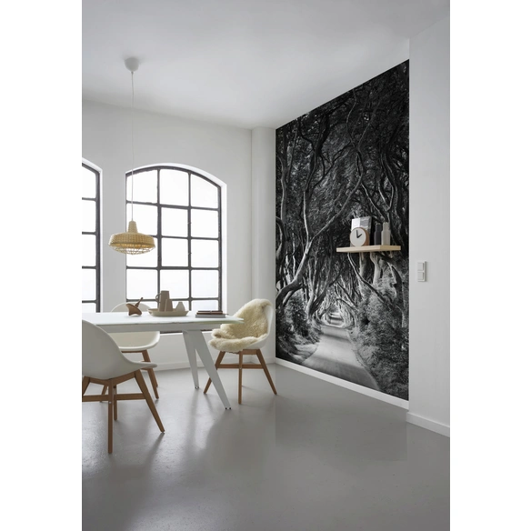 Vliestapete »Forevenue«, Breite 250 cm, seidenmatt
