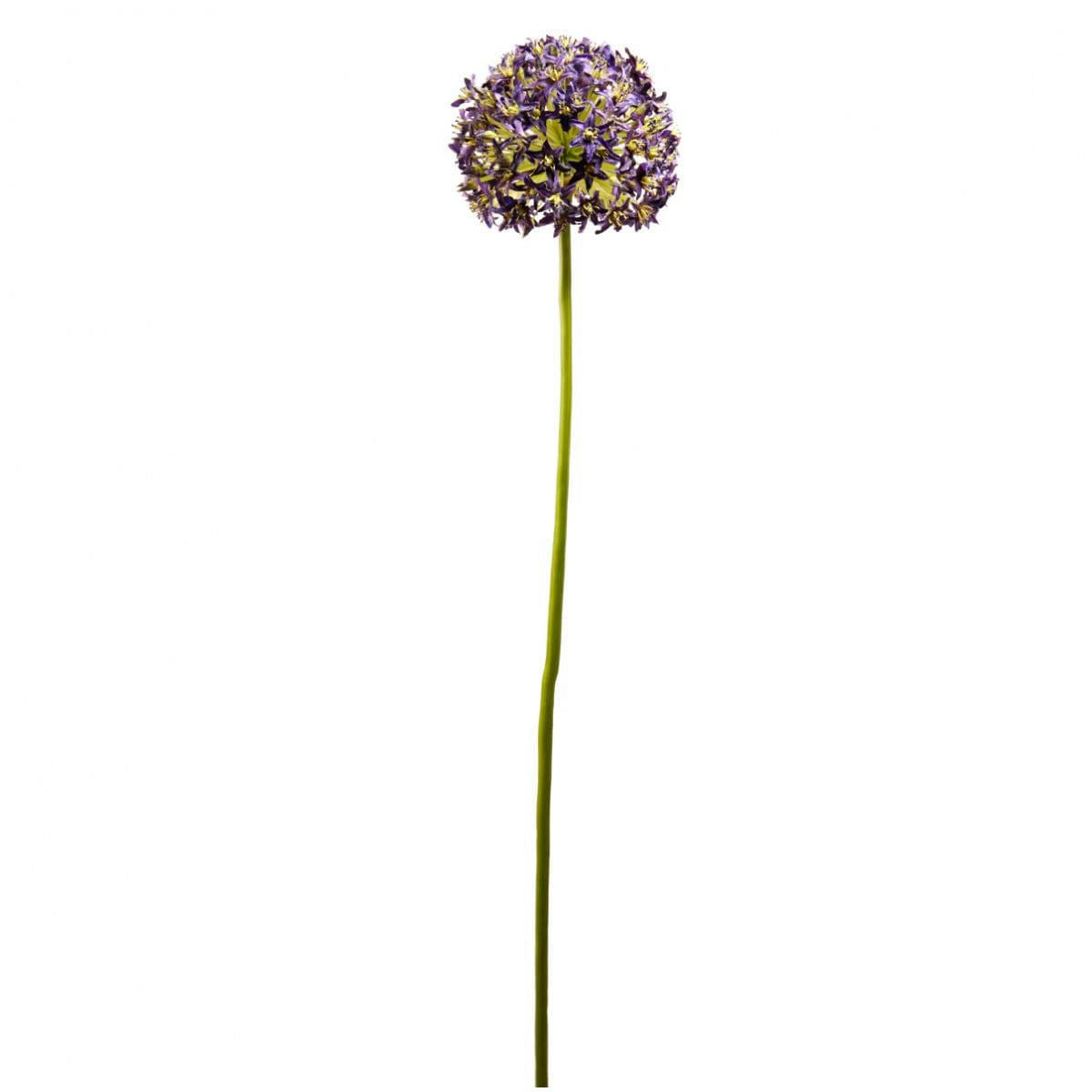 NINON - Allium artificiel Ninon
