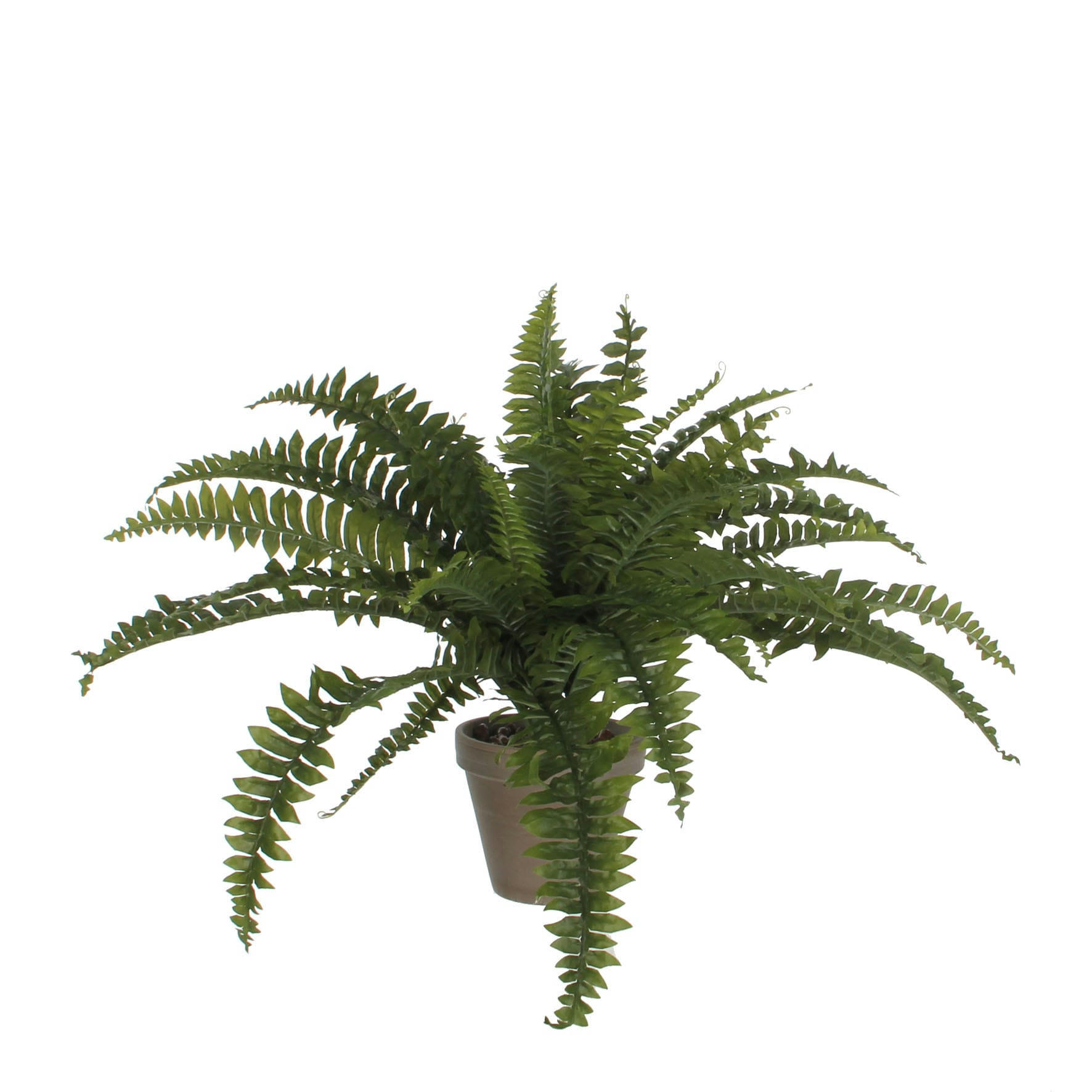 FERN - Fougère artificielle en pot H45