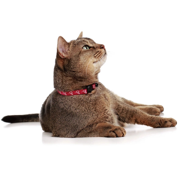 Halsband »by Laura«, für Katzen, Polyester/Kunststoff/Metall, rot