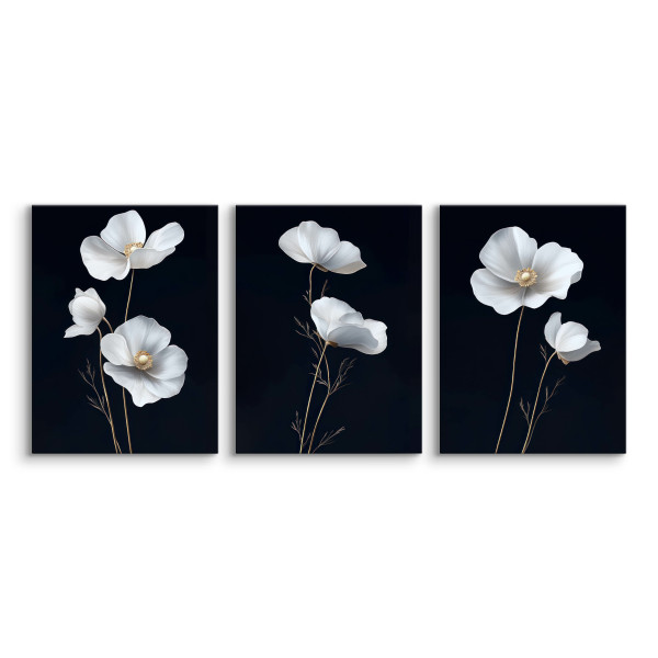 3x Obraz Set Białe Maki Polne Kwiaty Minimalizm 30x40cm