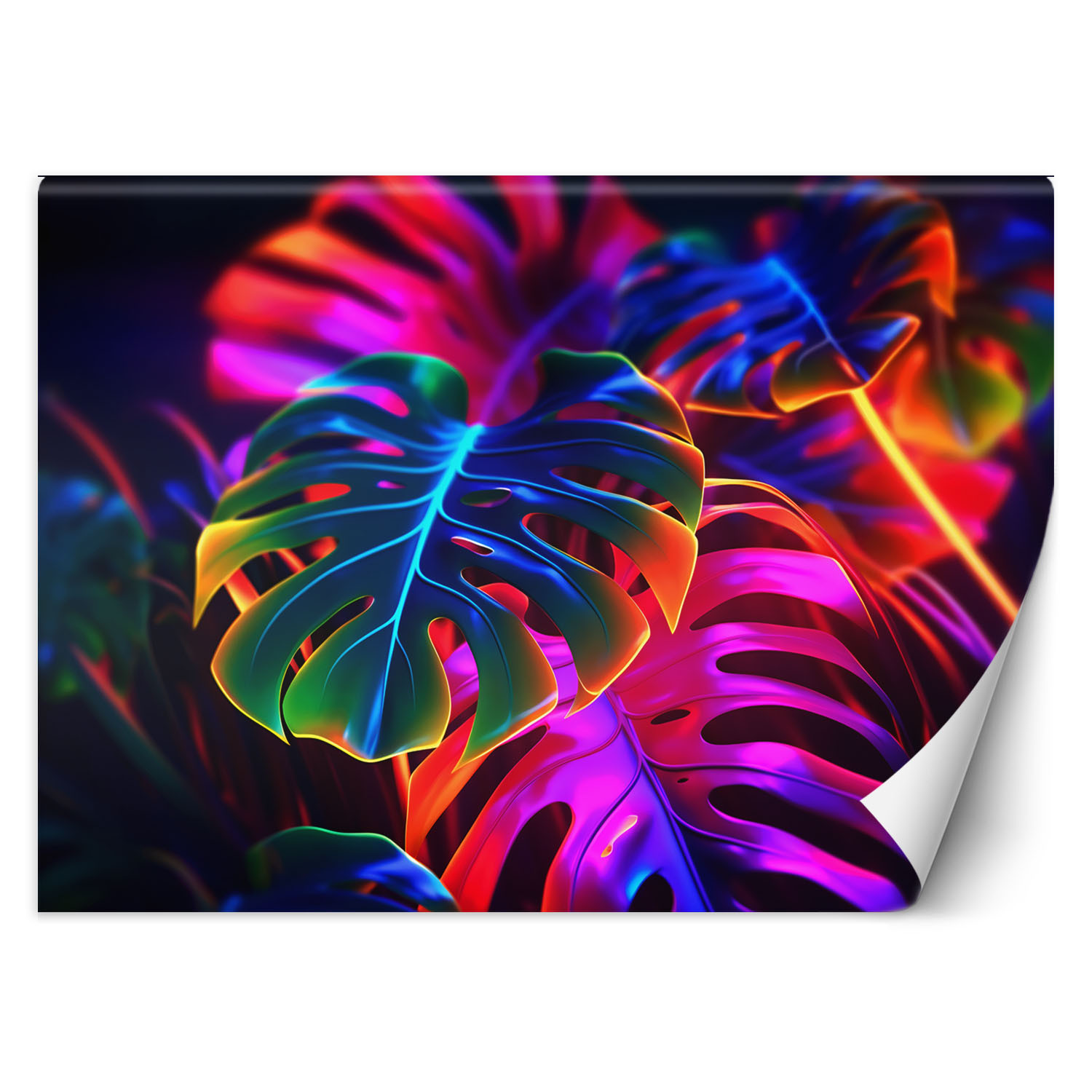 Feeby Fototapeta, Monstera fluorescencyjne liście 150x105