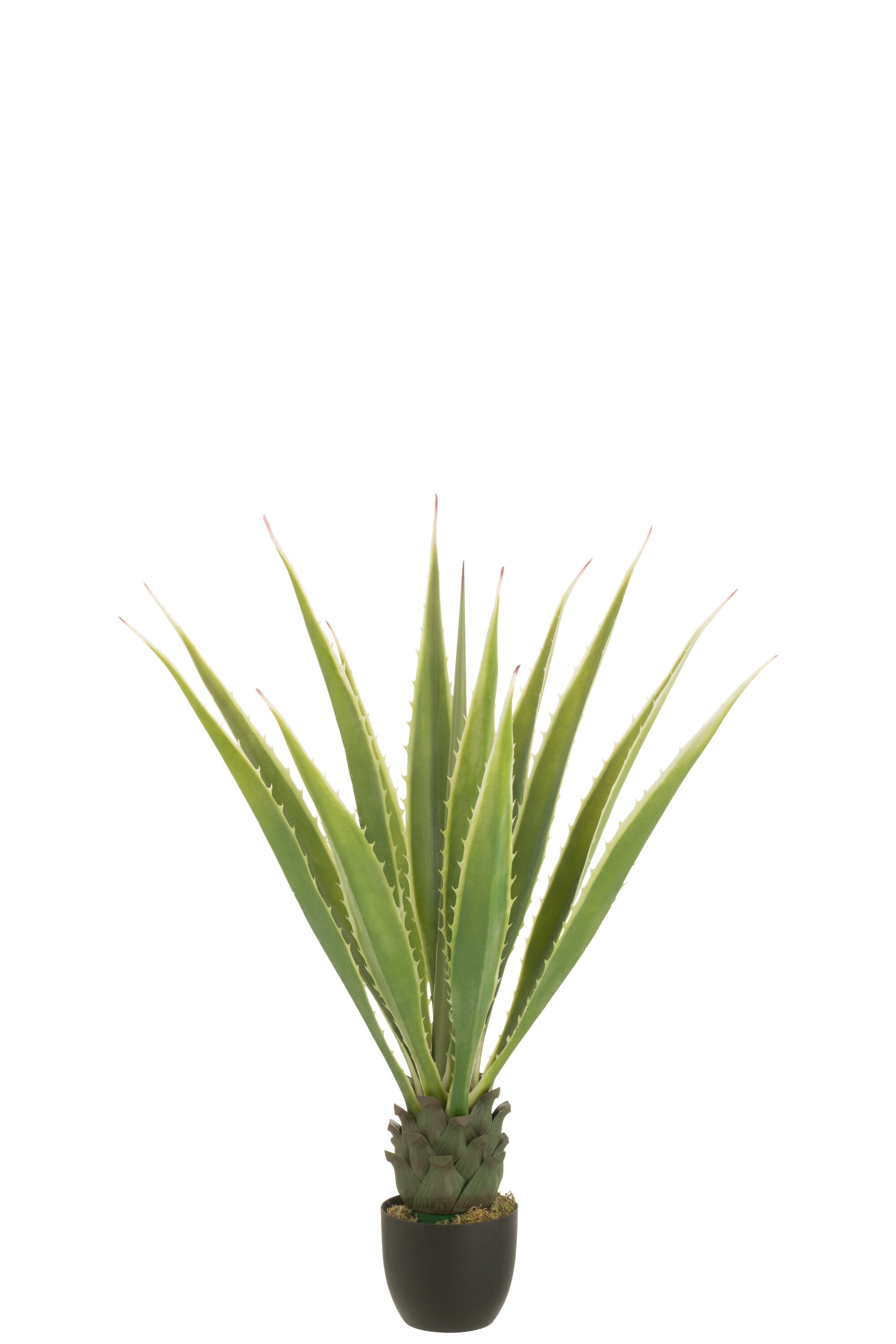 J-Line agave in pot Wit Rand - kunststof - groen