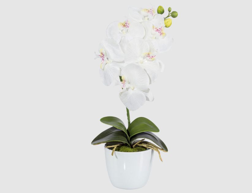 Kunstblume Orchidee