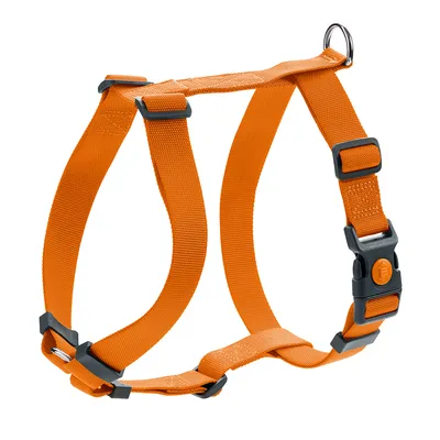 HUNTER harness London Vario Rapid, orange