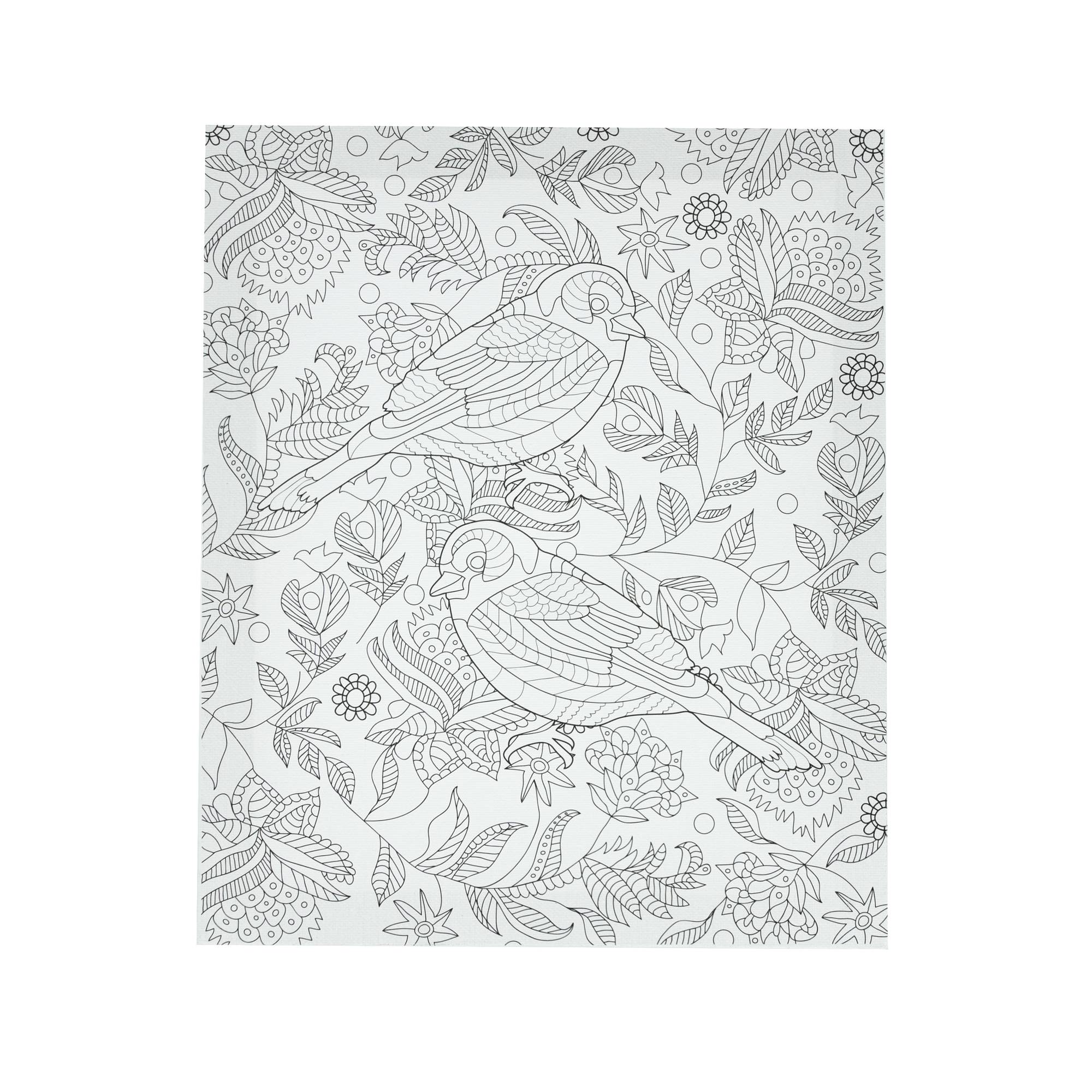 Birds Colour-In Canvas