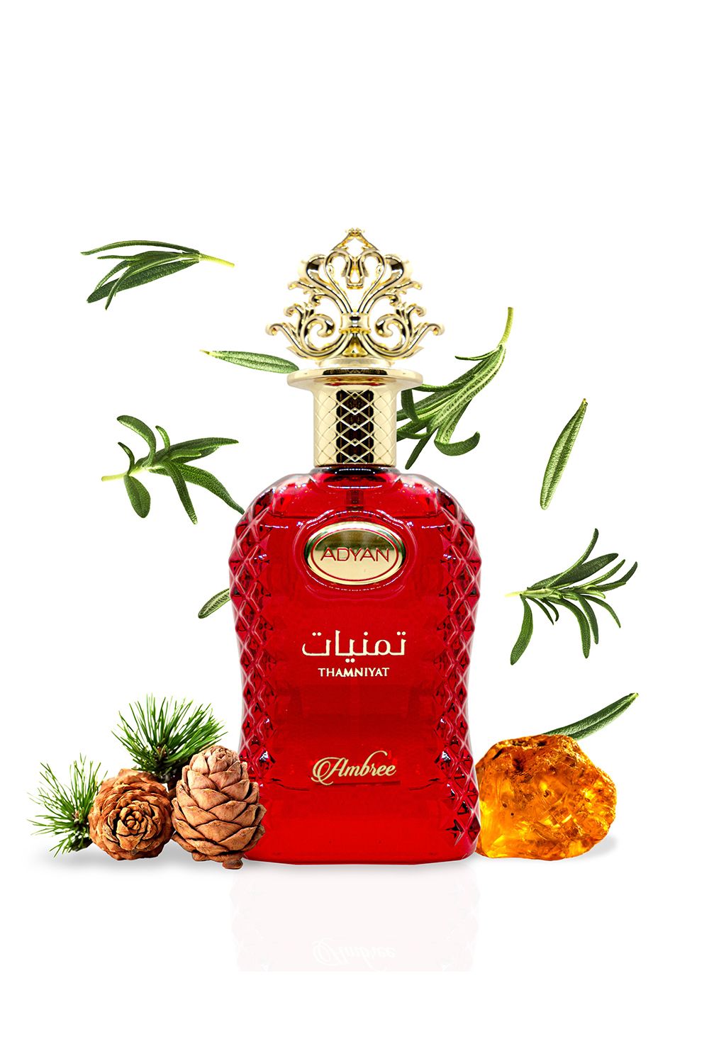 Adyan Thamniyat Ambree 100ml EDP
