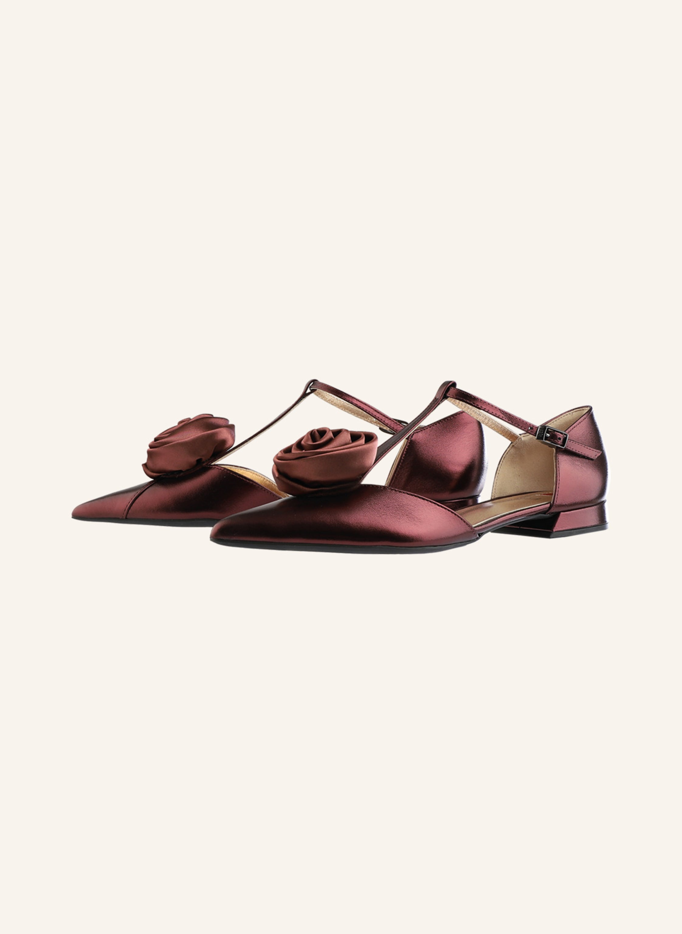 Högl Ballerinas BLOSSOM