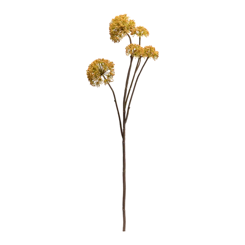 Dekozweig Dried-Grass