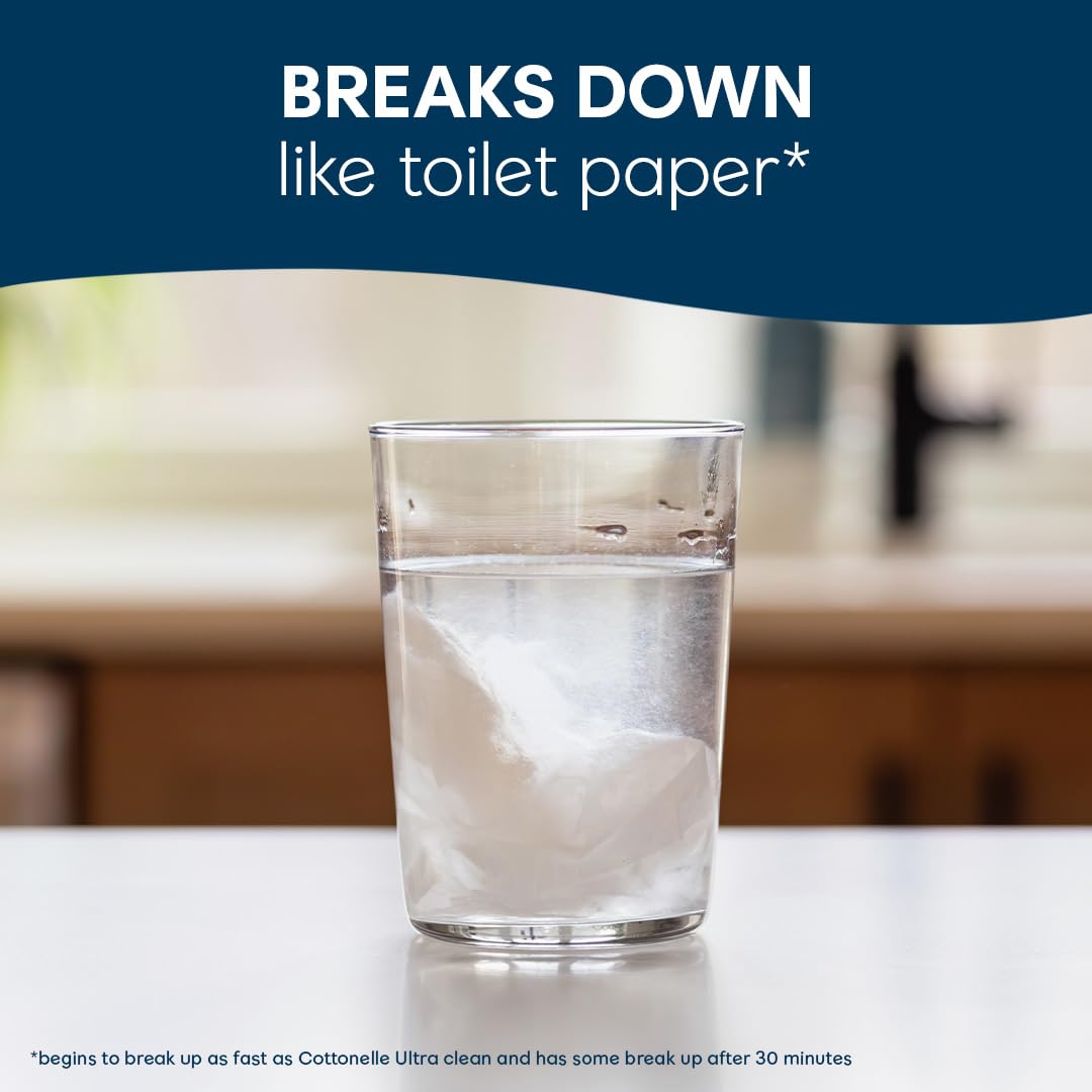 Cottonelle Fresh Feel Flushable Wet Wipes, 42 Wipes Per Pack