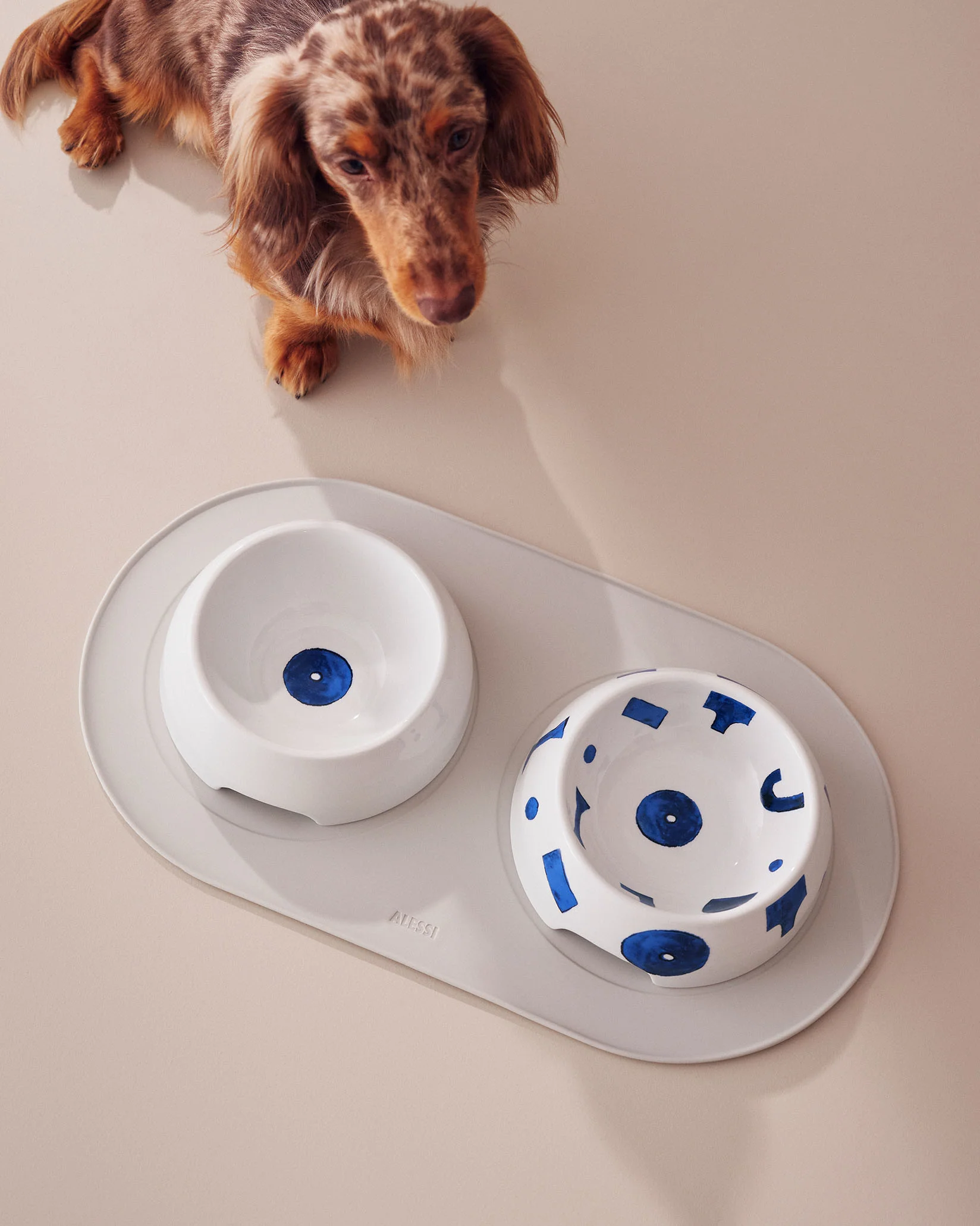 Itsumo pet Yunoki ware