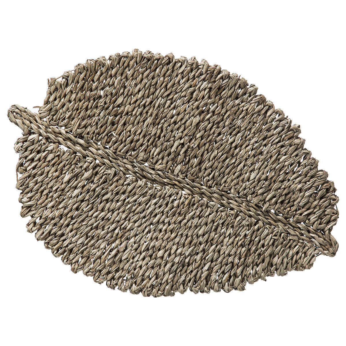 Individual FOLHA castanha em seagrass