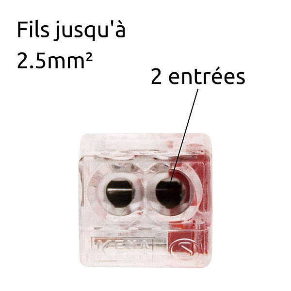 Mini borne S2273 avec 2 entrées et conducteurs 2,5mm² - Wago