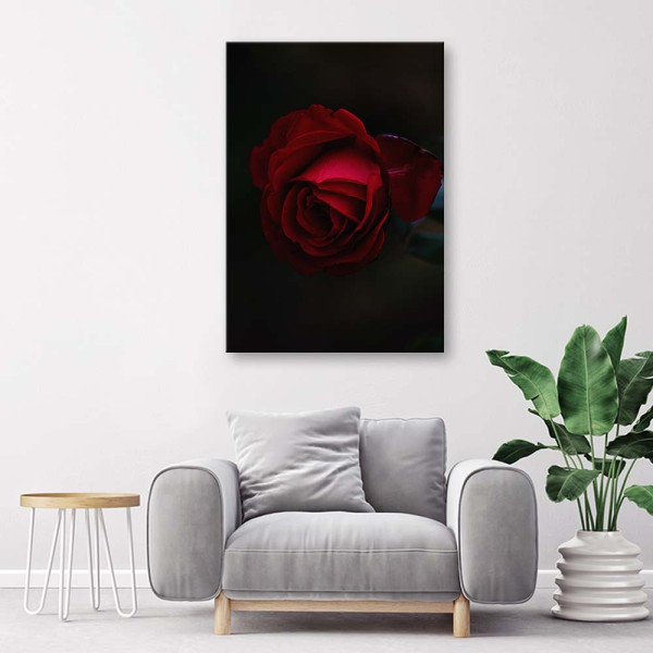 Feeby Obraz na płótnie Róża na czarnym tle 40x60