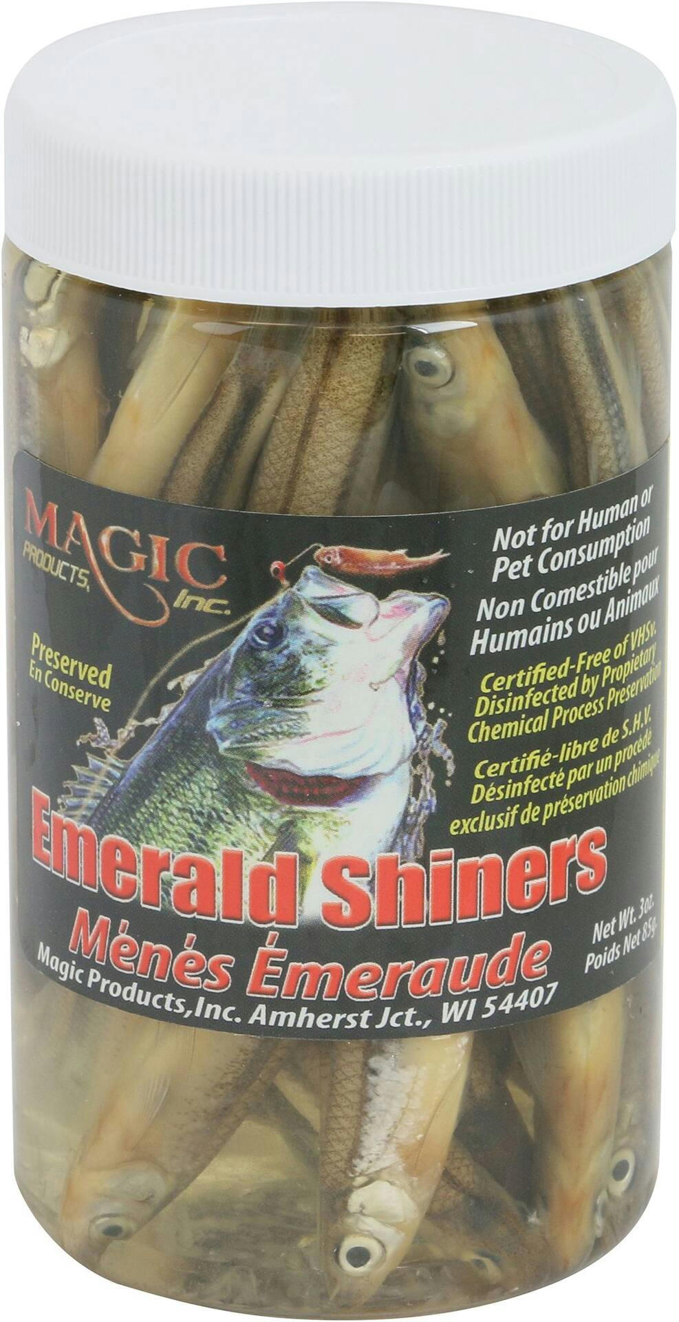 Magic Preserved Emerald Shiner Minnows, Large