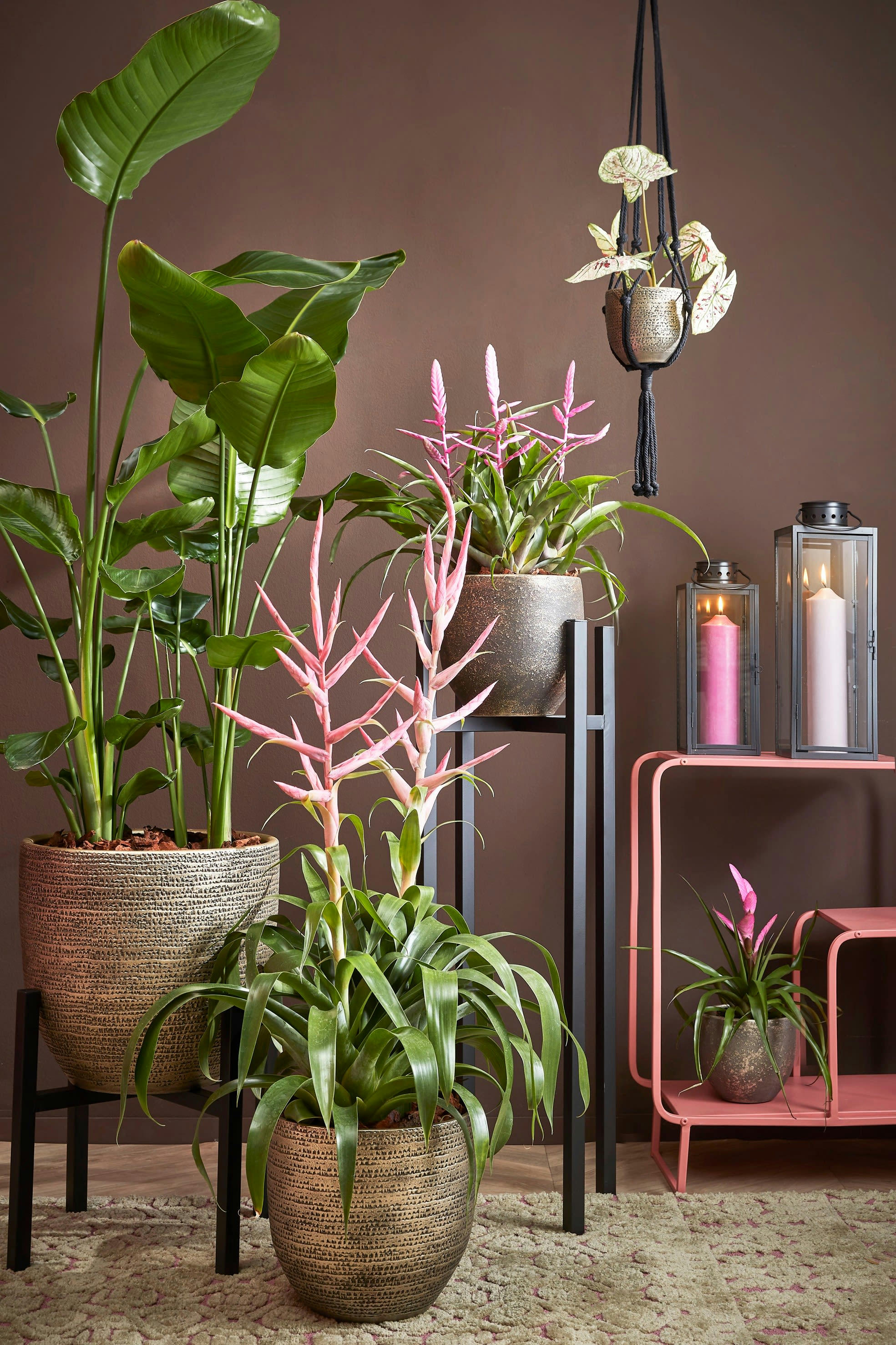 ASCOT - Porte-plante en métal noir H95