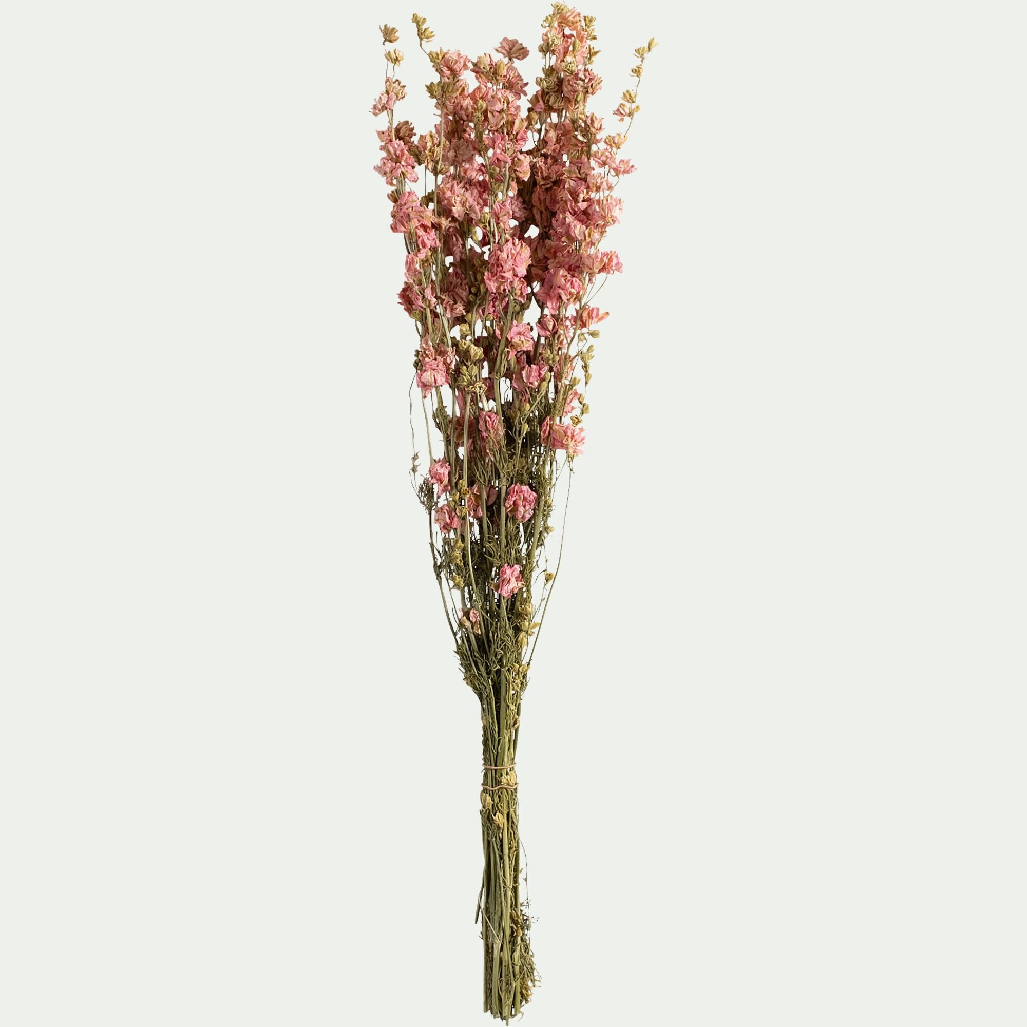 FLORALIE - Bottes de dauphinelles séchées 55cm - rose