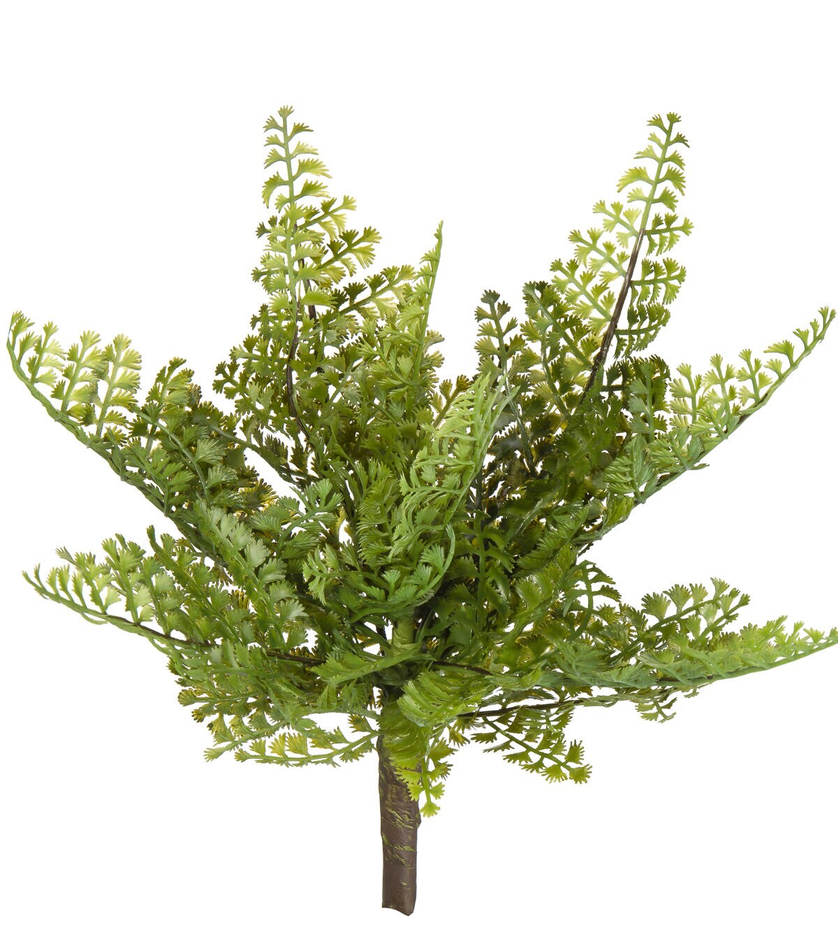 12 Maidenhair Fern Pick by Bloom Room