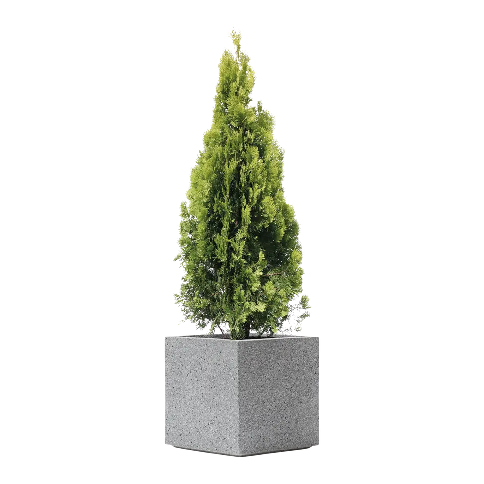 Gartentopf Rockline