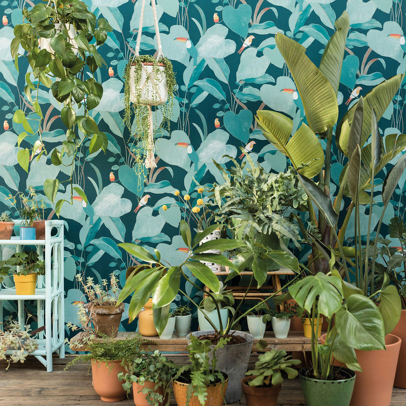 - Tapisserie murale Toucan 0,53x10 mètrescm