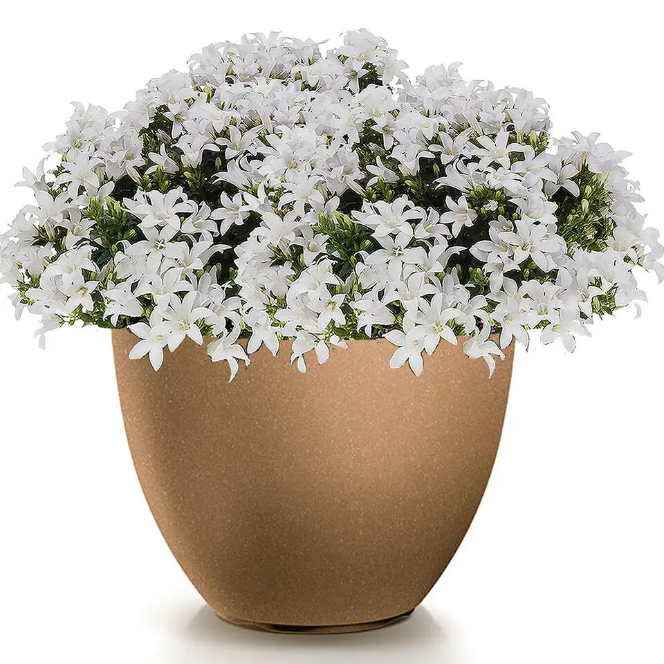 Prosperplast Plantenpot Sevilla - kunststof - hout/beige - D39 cm