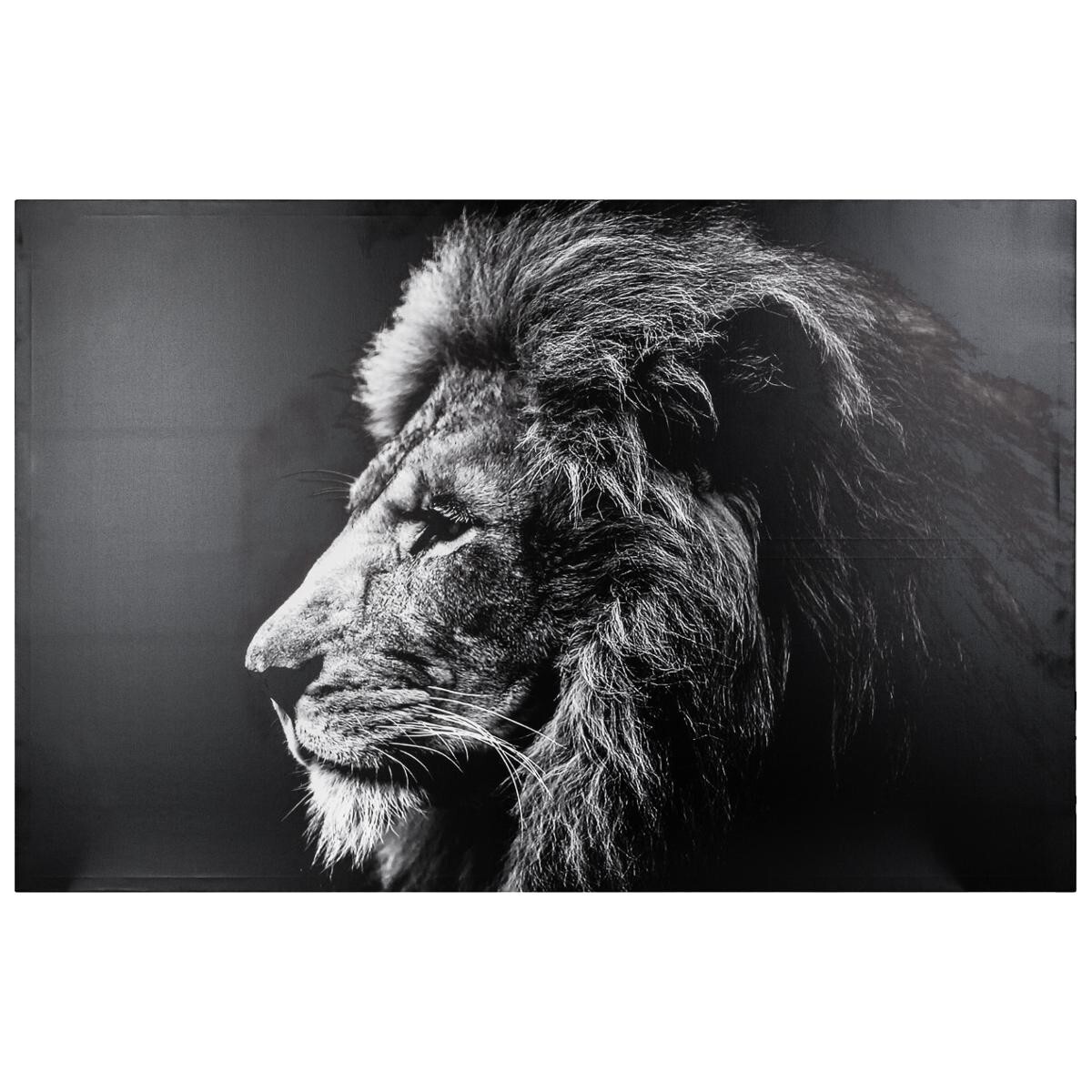 Printed canvas"Animaux" 78x118 cm