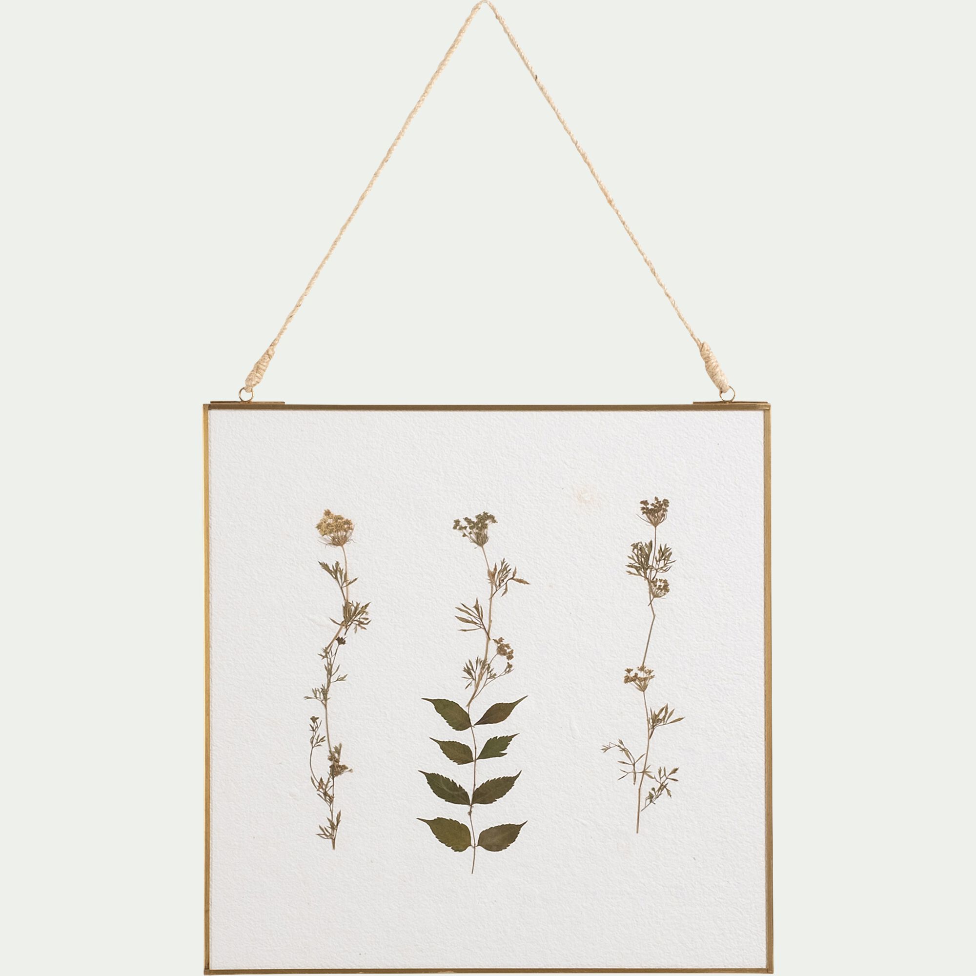 CHARMEIL - Décoration murale carrée avec fleurs séchés en verre - doré