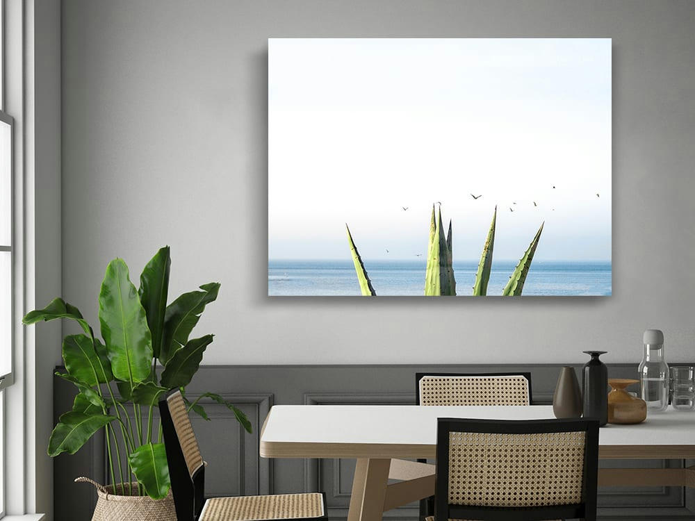 BLEU AGAVE - Photographie d'art de Laura Sanchez 45x60 cm sur alu