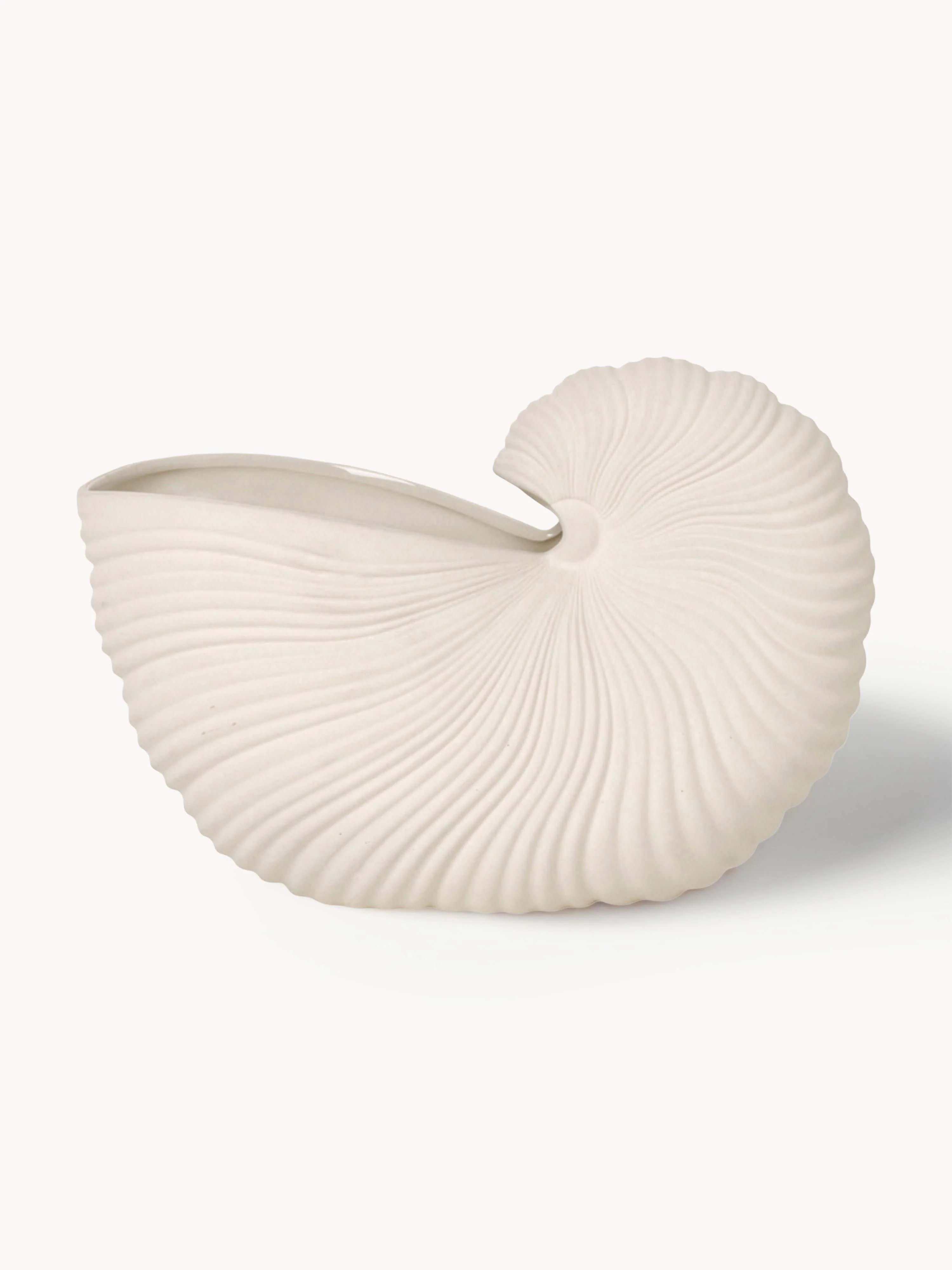 übertopf Shell in Muschel-Form