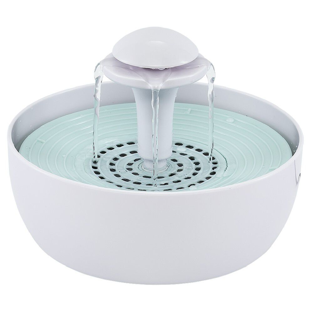 Fontaine à eau pour chat