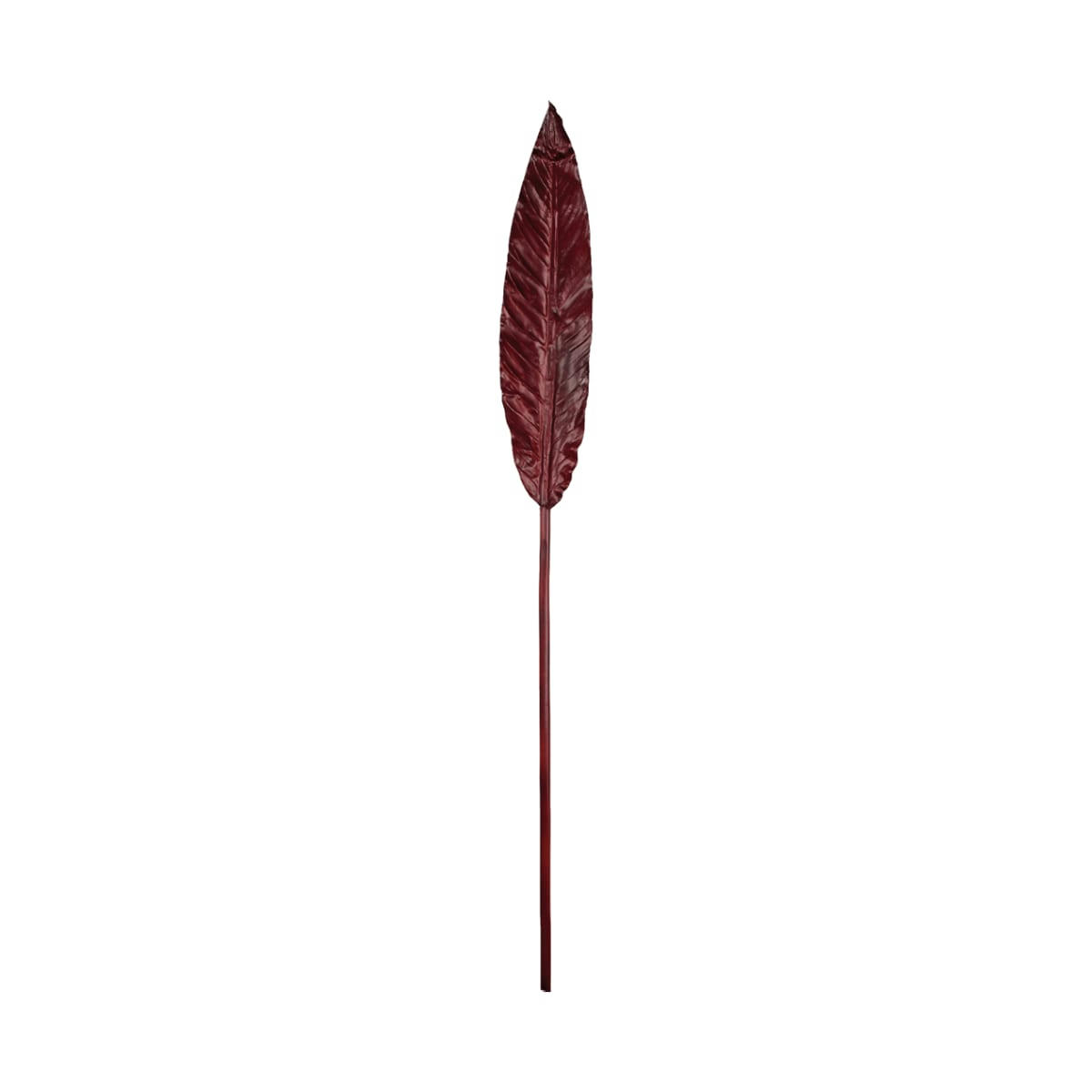 - Grande plume bordeaux H137