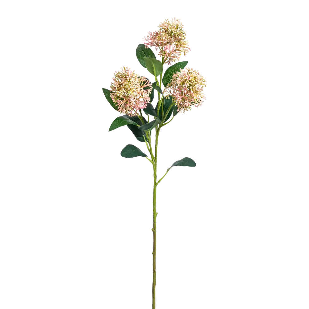 Kunstblume Aglaia