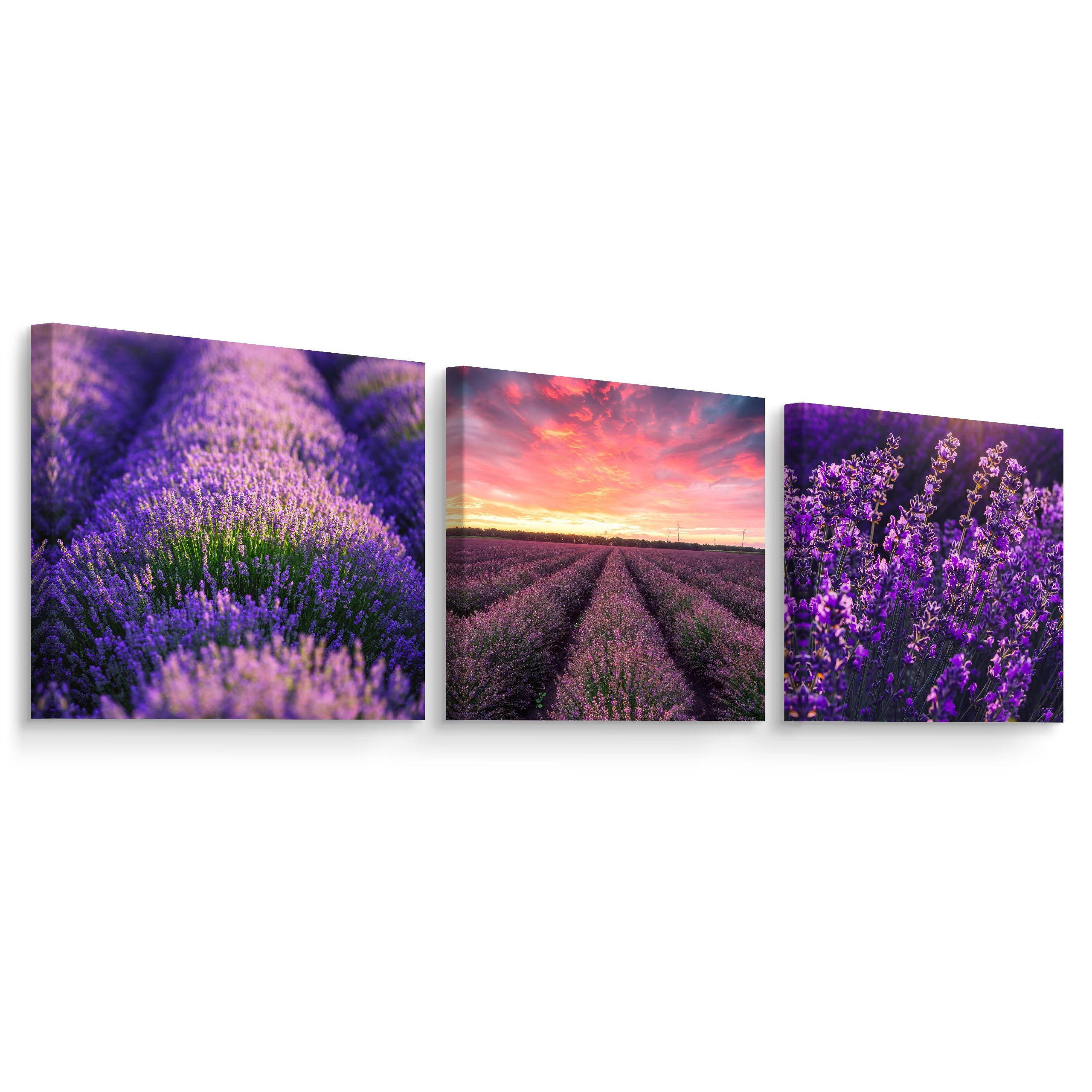 Obrazy Do Kuchni SET Barwne Kwiaty Lawendy 120x40cm