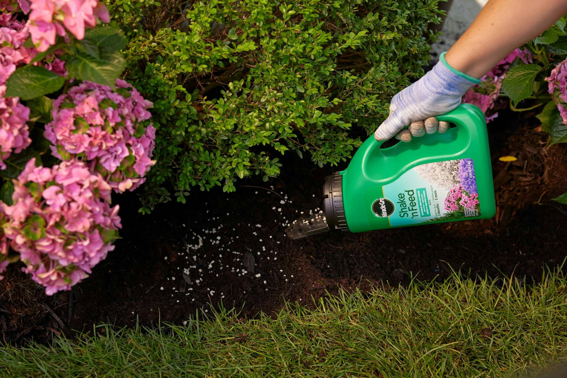 Miracle-Gro® Shake N Feed Flowering Trees & Shrubs Plant Food, 2-kg