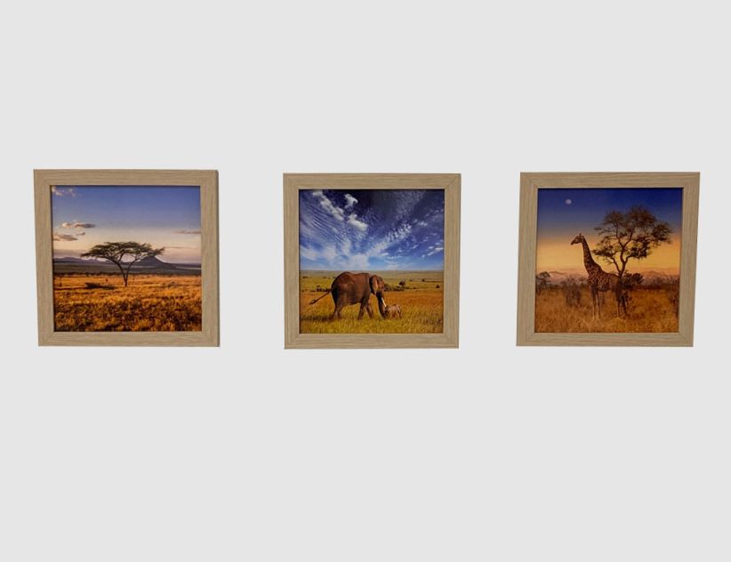 Bild Safari-Impressionen