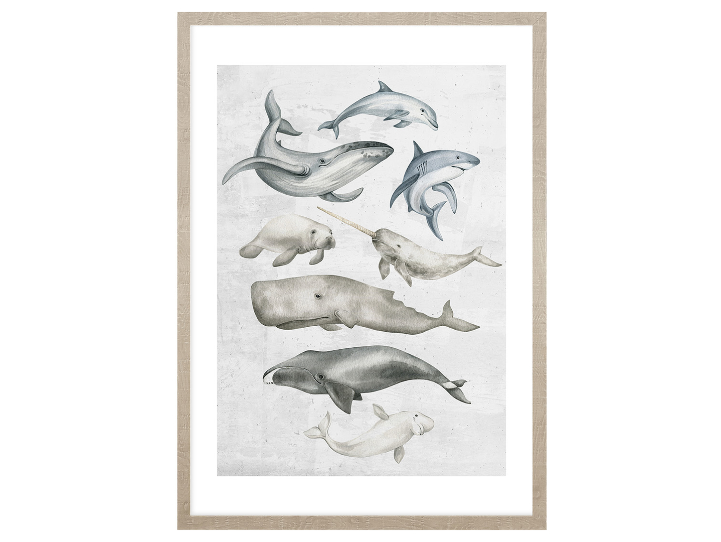 Obraz w ramie Ocean Fish In Pastels 53x73 cm
