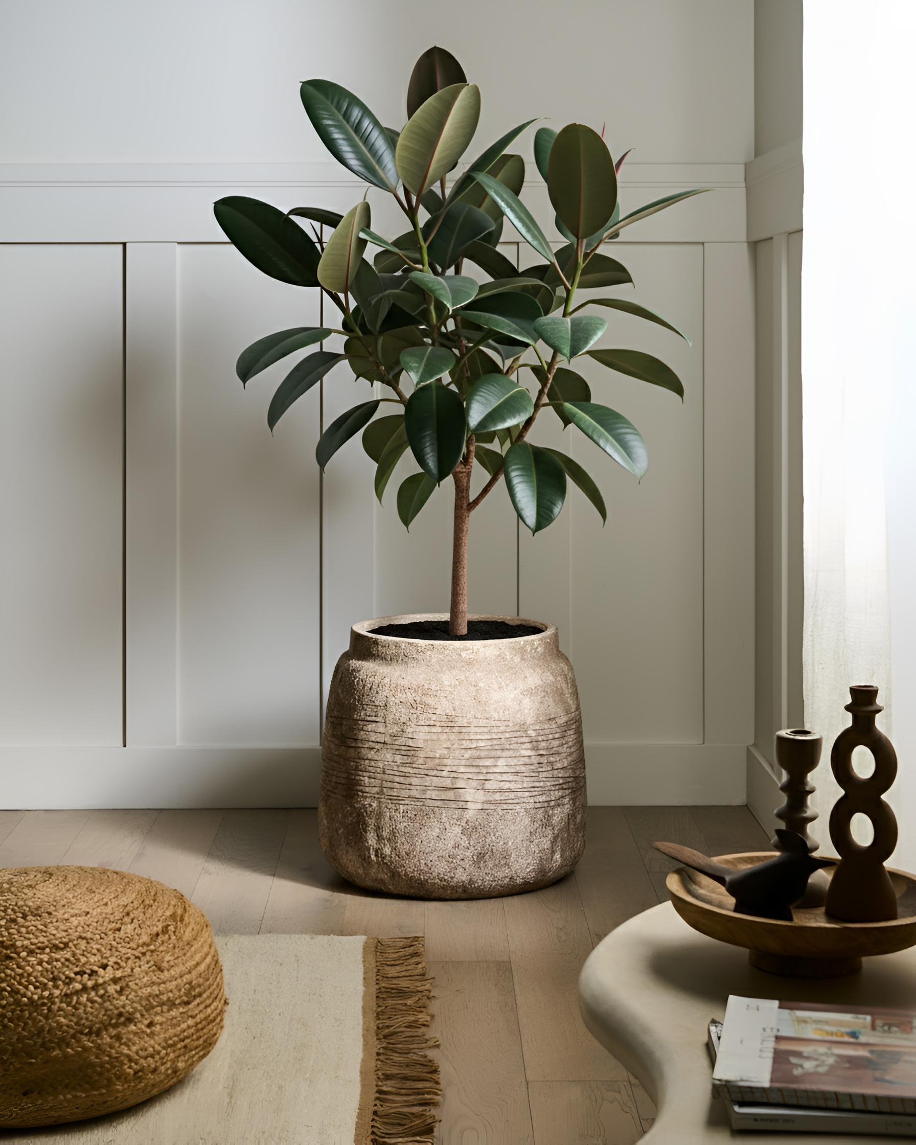 Plant Pot ARGOSTOLI 44 cm Beige