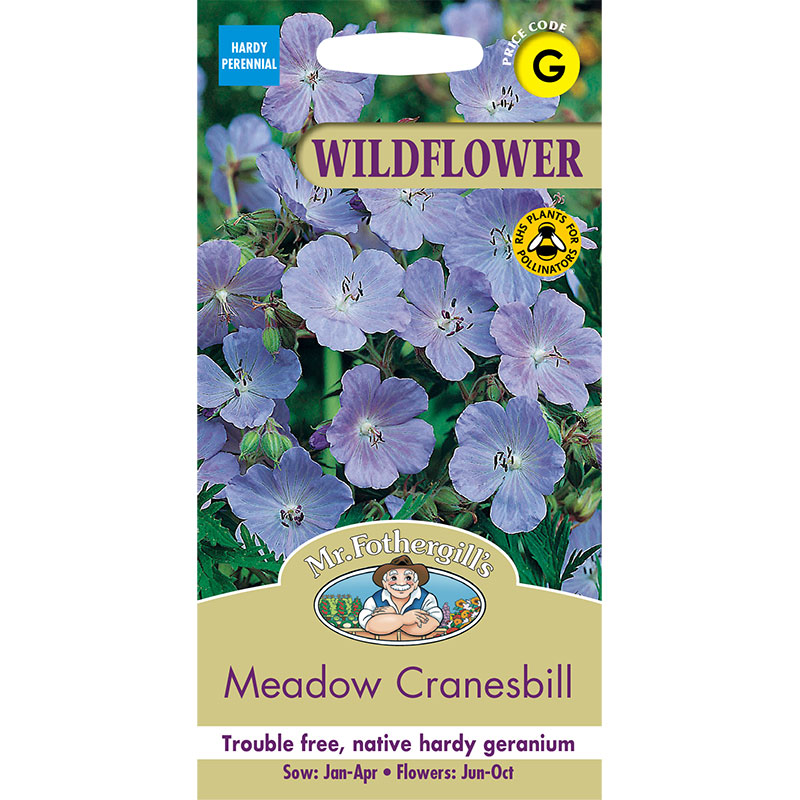 Ängsnäva 'Meadow Cranesbill'