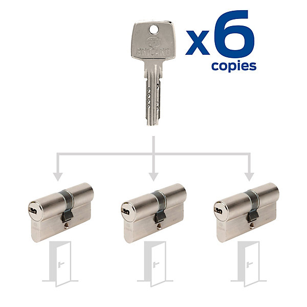 3 Cylindres débrayables Bricard 30x30/30x30/30x30 mm avec 6 clés