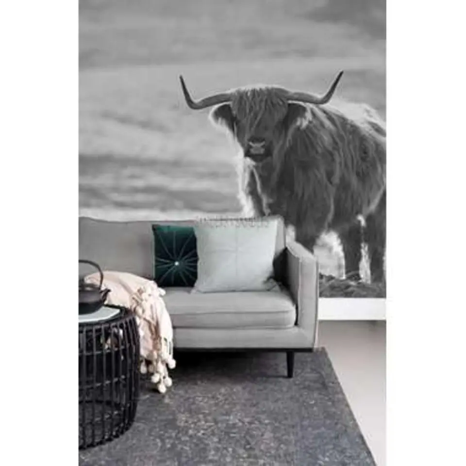 Sanders & Sanders fotobehang - schotse hooglander - zwart wit
