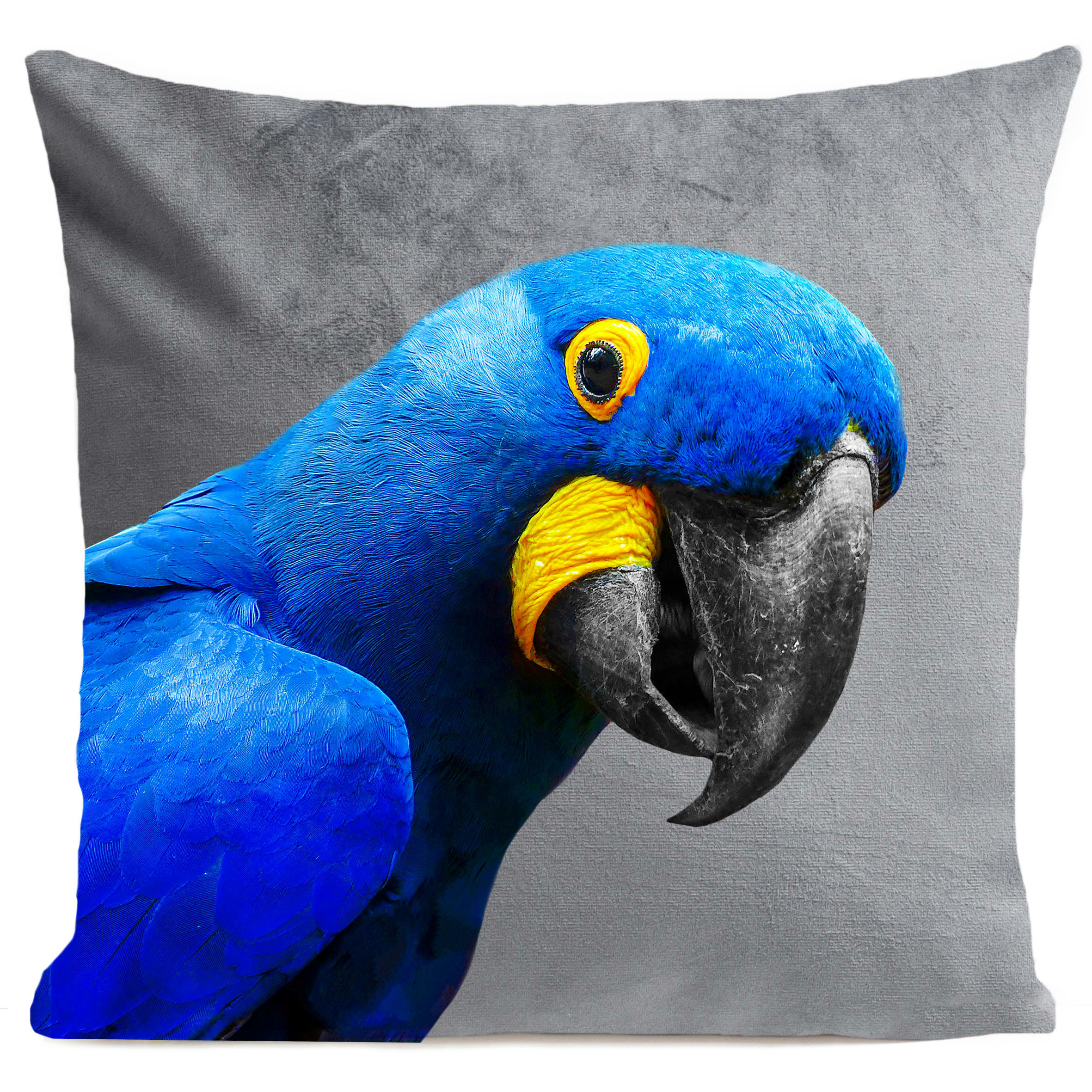 - Coussin tropical perroquet suédine gris 40x40cm