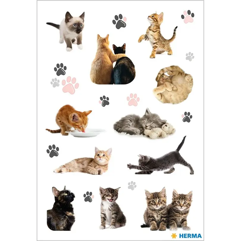 Sticker 3er-Set Fröhliche Katzenkinder
