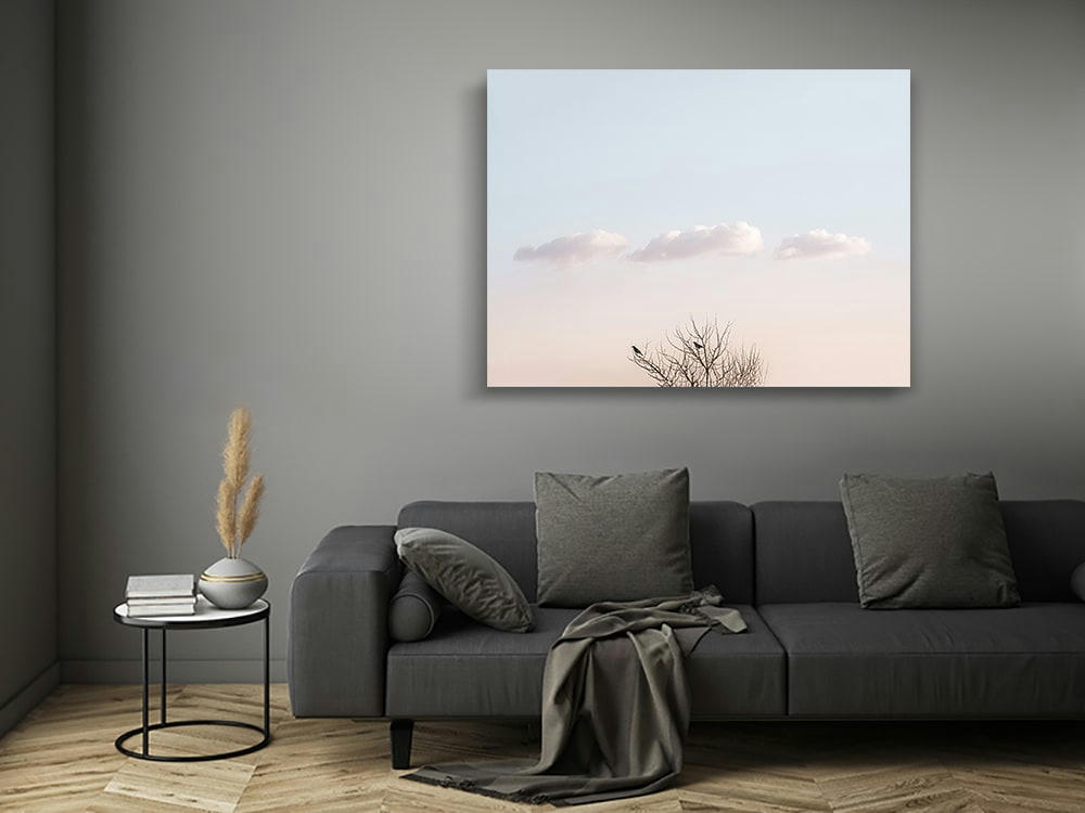LES TRIPLÉS - Photographie d'art de Laura Sanchez 45x60 cm sur alu