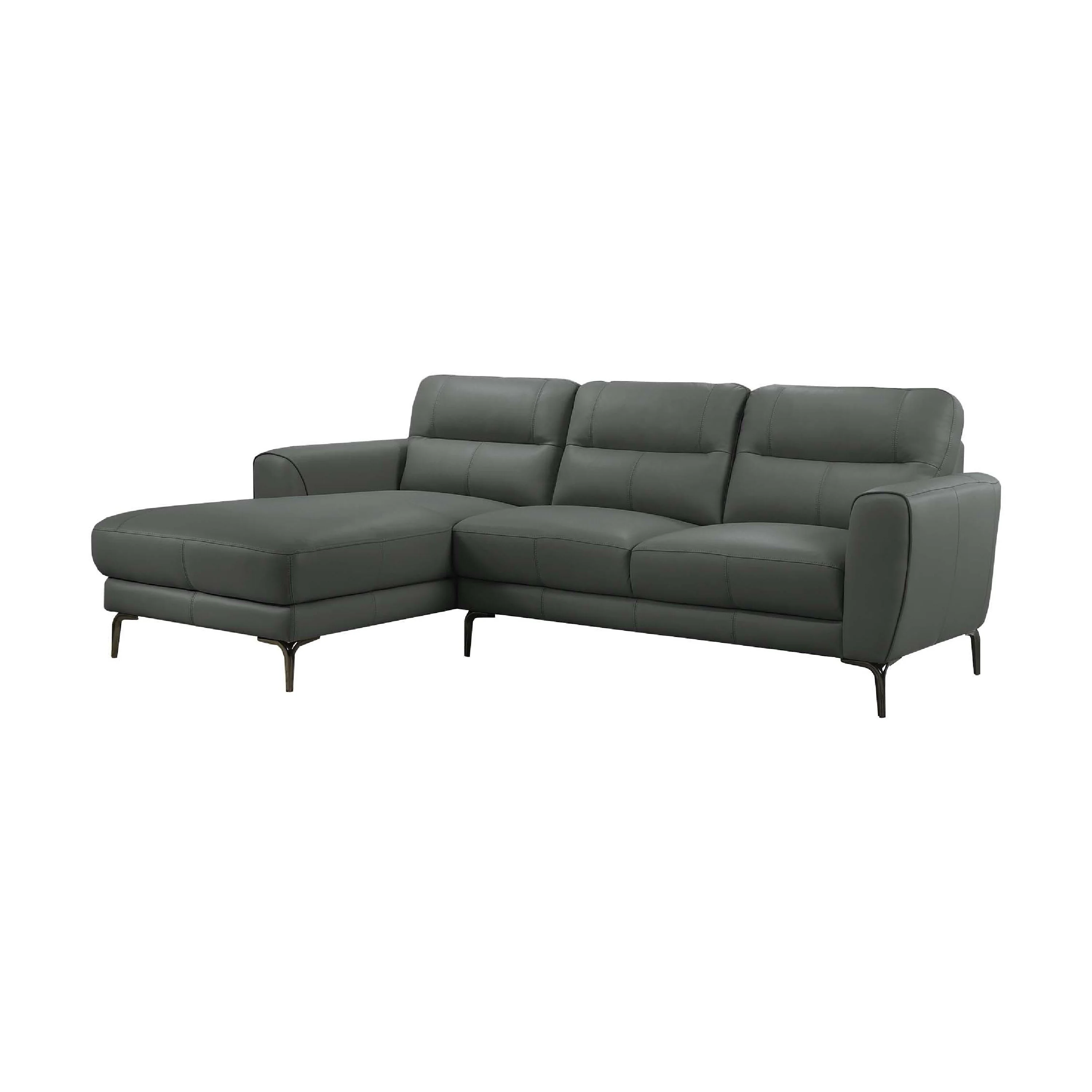 Hena 2pc Sectional Sofa w RAF Chaise, Modern Style, Gray Full Leather
