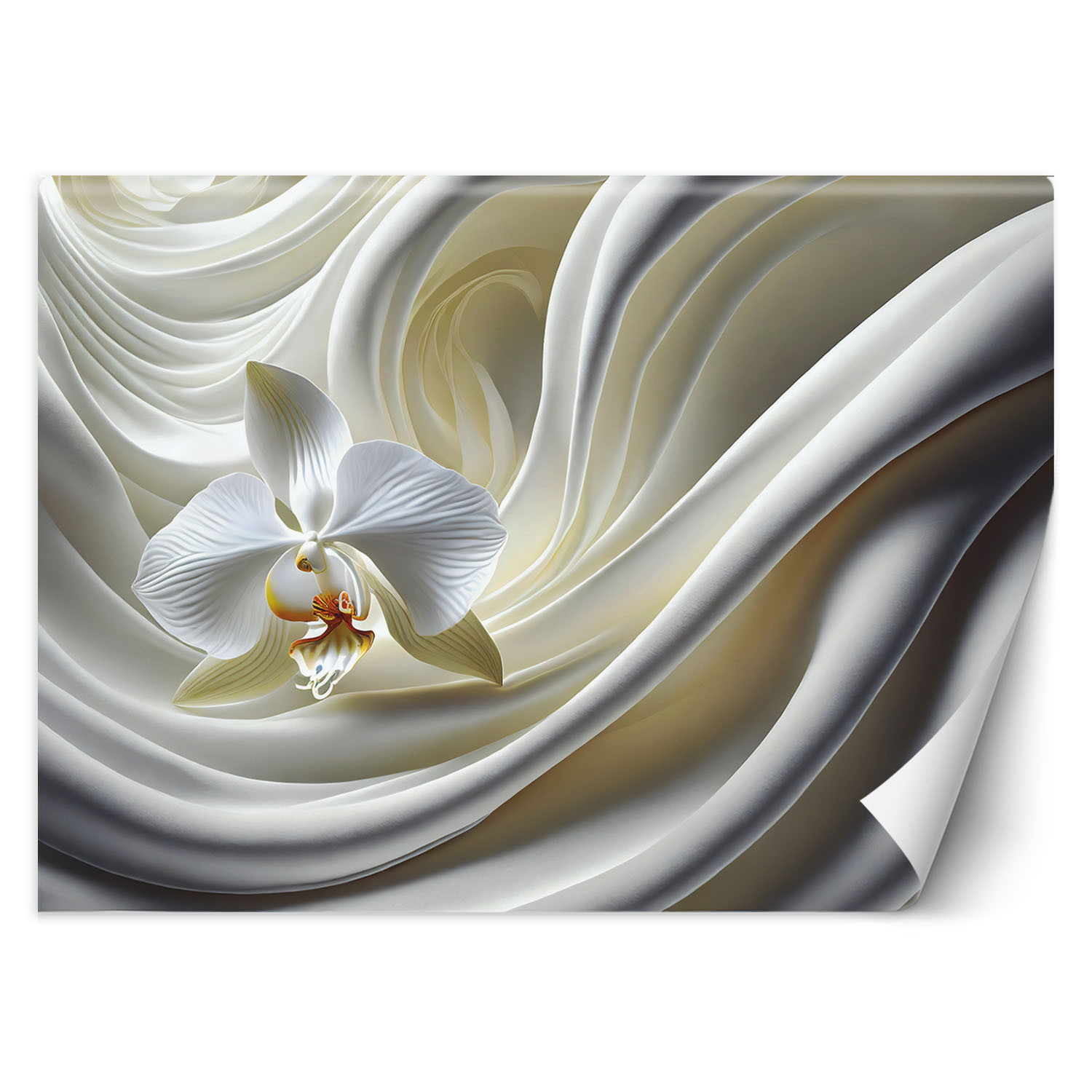 Feeby Fototapeta, Biały Storczyk 150x105